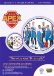 Apex Corporate Solutions